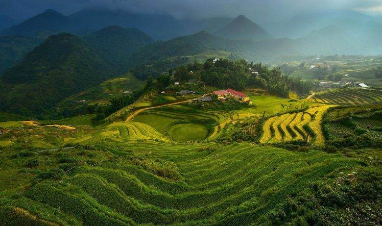 149956-landscape-Vietnam-terraced_field-748×443