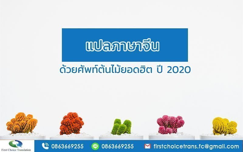 แปลภาษาจีน ด้วยศัพท์ต้นไม้ ยอดฮิต ปี 2020 - FCT แปลภาษาจีน ด้วยศัพท์ต้นไม้ ยอดฮิต ปี 2020 - Fct