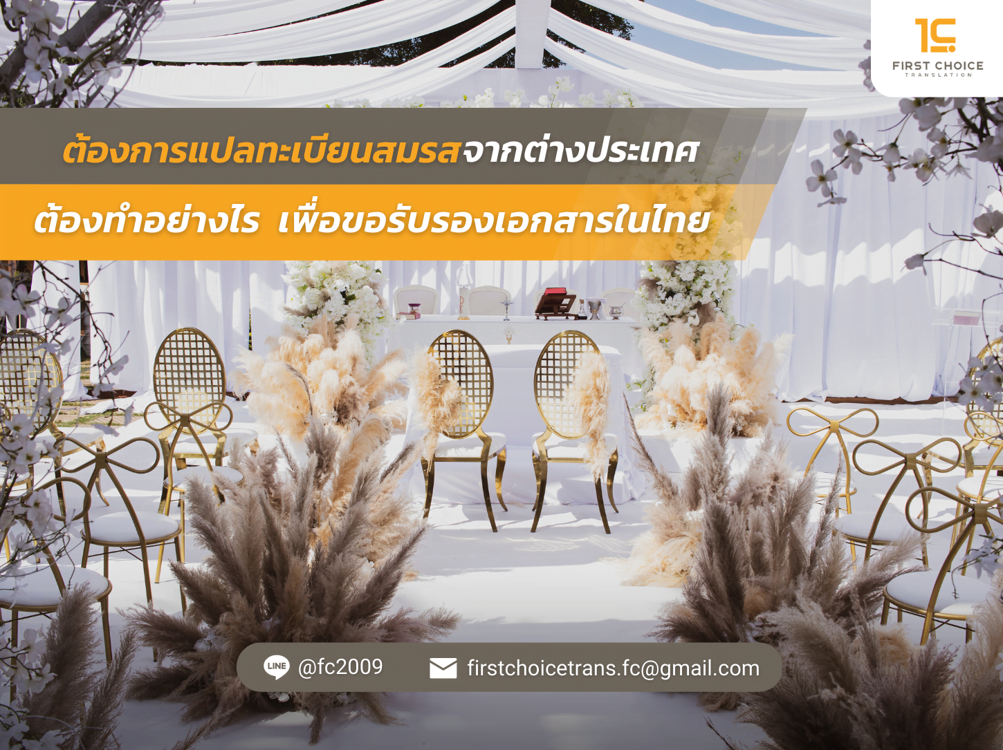 New Style ปกบทความ Firstchoice
