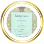 icon service5